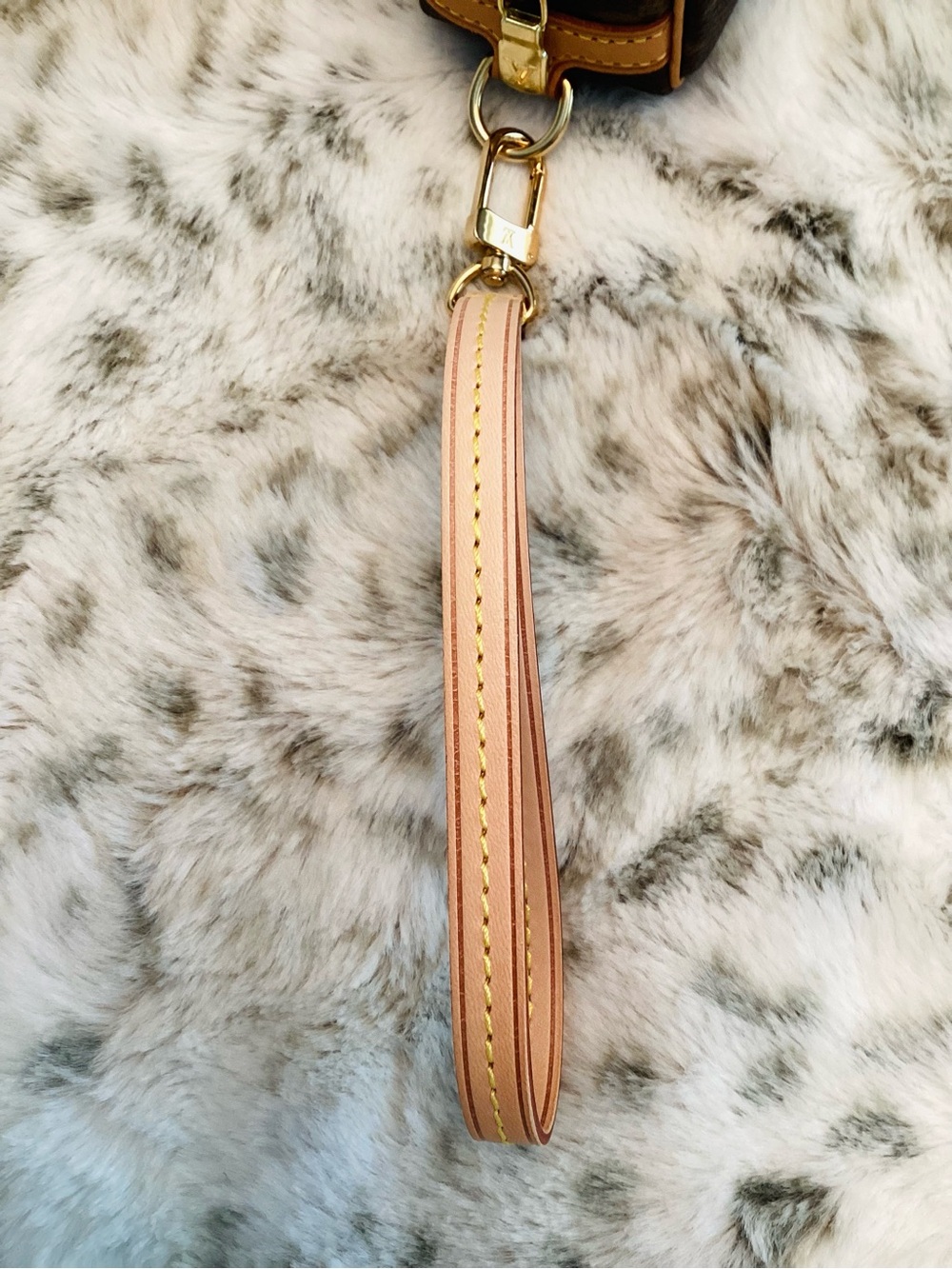 Louis Vuitton Trousse Wapity Pouch - Picture 3 of 10